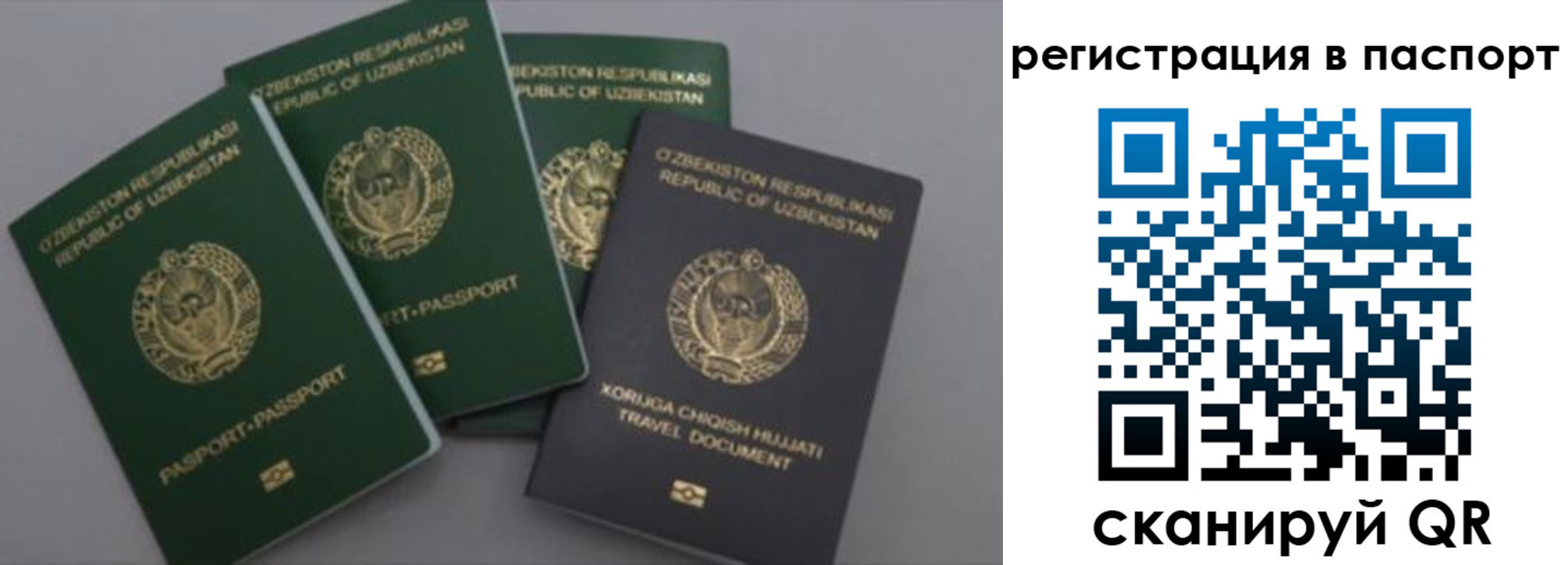 прописка от собственника в Заринске